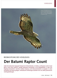 BEOBACHTUNG DES VOGELZUGS DER BATUMI RAPTOR COUNT