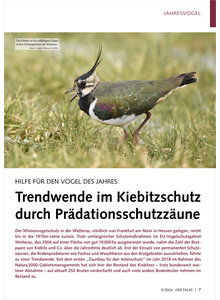 HILFE FR DEN VOGEL DES JAHRES TRENDWENDE IM KIEBITZSCHUTZ DURCH PRDATIONSSCHUTZZUNE