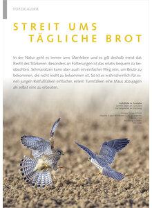 FOTOGALERIE STREIT UMS TGLICHE BROT