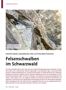 Auf diesem Bild sehen Sie das Produktbild fr MONITORING-ERGEBNISSE DER LETZ TEN BRUTSAISON FELSENSCHWALBEN IM SCHWARZWALD