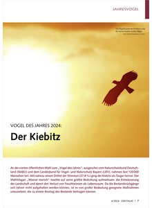 VOGEL DES JAHRES 2024 KIEBITZ