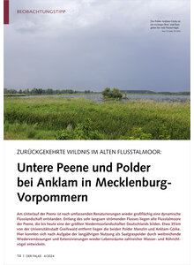 ZURCKGEKEHRTE WILDNIS UNTERE PEENE UND POLDER BEI ANKLAM IN MECKLENBURG-VORPOMMERN