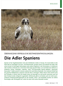 BERWIEGEND ERFREULICHE BESTAN DSENTWICKLUNGEN DIE ADLER SPAN IENS
