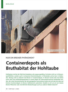 NUR EIN BREMER PHNOMEN? CON TAINERDEPOTS ALS BRUTHABITAT DER HOHLTAUBE