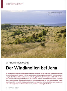 IM HERZEN THRINGENS DER WIND KNOLLEN BEI JENA