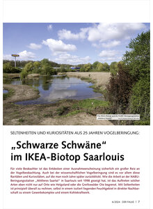 SELTENHEITEN UND KURIOSITTEN AUS 25 JAHREN VOGELBERINGUNG IKEA-BIOTOP SAARLOUIS