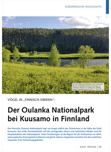 VGEL IN FINNISCH-SIBIRIEN DER OULANKA NATIONALPARK BEI KUUSAMO IN FINNLAND