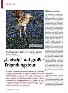 Auf diesem Bild sehen Sie das Produktbild fr BEMERKENSWERTE REISE EINES JUN GEN BRACHVOGELS LUDWIG AUF GROSSER ERKUNDUNGSTOUR