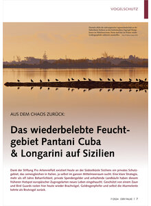 Auf diesem Bild sehen Sie das Produktbild fr DAS WIEDERBELEBTE FEUCHTGEBIET PANTANI CUBA & LONGARINI AUF SIZILIEN