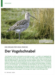 EIN ORGAN FR VIELE ZWECKE DER VOGELSCHNABEL