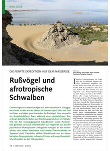 DIE FNFTE EXPEDITION AUF DEM NASSERSEE RUSSVGEL UND AFROTROPISCHE SCHWALBEN