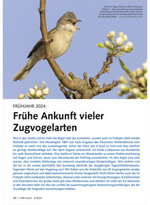 FRHJAHR 2024 FRHE ANKUNFT VIELER ZUGVOGELARTEN