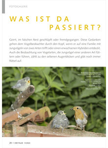 Auf diesem Bild sehen Sie das Produktbild fr FOTOGALERIE WAS IST DA PASSIER T