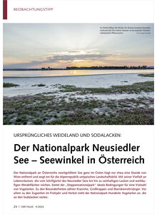 URSPRNGLICHES WEIDELAND UND SODALACKEN NATIONALPARK NEUSIE DLER SEE SEEWINKEL STERREICH