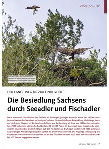 Auf diesem Bild sehen Sie das Produktbild fr DER LANGE WEG BIS ZUR EINHUNDE RT DIE BESIEDLUNG SACHSENS DURCH SEEADLER UND FISCHADLER