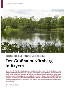 KIEBITZE, KOLBENENTEN UND VIELE KIEFERN DER GROSSRAUM NRNBERG IN BAYERN