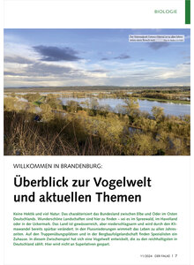 WILLKOMMEN IN BRANDENBURG BERBLICK ZUR VOGELWELT UND AKTUELLEN THEMEN