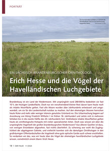 EIN SCHSISCH-BRANDENBURGISCHE ORNITHOLOGE ERICH HESSE VGEL DER HAVELLNDISCHEN LUCHGEBIET