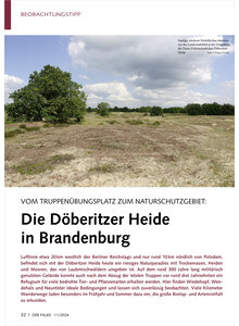 VOM TRUPPENBUNGSPLATZ ZUM NATURSCHUTZGEBIET DBERITZER