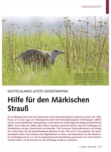 DEUTSCHLANDS LETZTE GROSSTRAPP EN HILFE FR DEN MRKISCHEN STRAUSS