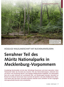 Auf diesem Bild sehen Sie das Produktbild fr HGELIGE WALDLANDSCHAFT MIT BUCHENURWLDERN SERRAHNER TEIL DER MRITZ NATIONALPARKS