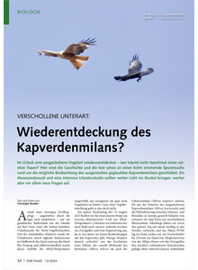 Auf diesem Bild sehen Sie das Produktbild fr VERSCHOLLENE UNTERART WIEDER ENTDECKUNG DES KAPVERDENMILANS