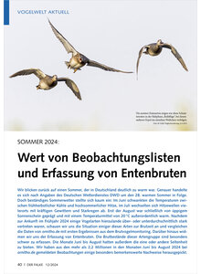 Auf diesem Bild sehen Sie das Produktbild fr VOGELWELT AKTUELL SOMMER 2024 WERT VON BEOBACHTUNGSLISTEN UND ERFASSUNG VON ENTENBRUTEN