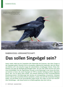 RABENVOGEL-VERWANDTSCHAFT DAS SOLLEN SINGVGEL SEIN