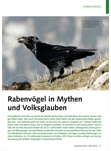 RABENVGEL IN MYTHEN UND VOLKS GLAUBEN