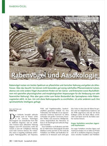 RABENVGEL UND AASKOLOGIE