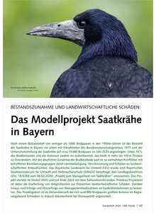 BESTANDSZUNAHME UND LANDWIRT SCHAFTLICHE SCHDEN DAS MODELL PROJEKT SAATKRHE IN BAYERN
