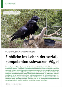 BEZIEHUNGSRATGEBER CORVIDEN EINBLICKE INS LEBEN DER SOZIAL KOMPETENTEN SCHWARZEN VGEL