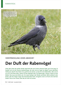 VERSTNDIGUNG ODER ABWEHR DER DUFT DER RABENVGEL