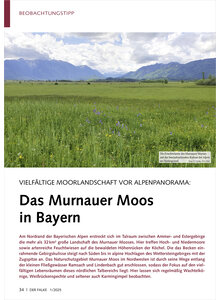 Auf diesem Bild sehen Sie das Produktbild fr VIELFLTIGE MOORLANDSCHAFT VOR ALPENPANORAMA DAS MURNAUER MOOS IN BAYERN