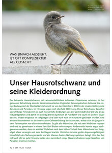 UNSER HAUSROTSCHWANZ UND SEINE KLEIDERORDNUNG