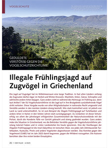 GEDULDETE VERSTSSE ILLEGALE FRHLINGSJAGD AUF ZUGVGEL IN GRIECHENLAND
