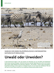 WARUM WIR EINEN PALOKOLOGISC INFORMIERTENNATURSCHUTZ BRAUCH EN URWALD ODER URWEIDEN