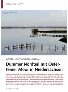 Auf diesem Bild sehen Sie das Produktbild fr WASSER- UND WATVGEL HAUTNAH DMMER NORDTEIL MIT OSTER FEINER MOOR IN NIEDERSACHSEN