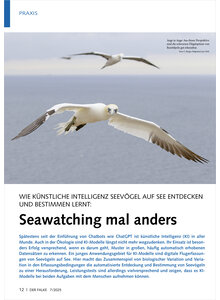 Auf diesem Bild sehen Sie das Produktbild fr WIE KNSTLICHE INTELLIGENZ SEE VGEL ENTDECKEN UND BESTIMMEN LERNT SEAWATCHING MAL ANDERS