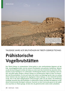 Auf diesem Bild sehen Sie das Produktbild fr TAUSENDE JAHRE ALTE BRUTHHLEN IM TIBESTI-GEBIRGE TSCHAD PR HISTORISCHE VOGELBRUTSTTTEN