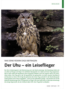 WAS SEINE FEDERN DAZU BEITRA GEN DER UHU EIN LEISEFLIEGER