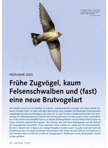 FRHJAHR 2025 FRHE ZUGVGEL KAUM FELSENSCHWALBEN UND FAST EINE NEUE BRUTVOGELART