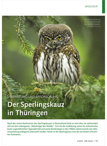 Auf diesem Bild sehen Sie das Produktbild fr VERBREITUNG UND ERFORSCHUNG DER SPERLINGSKAUZ IN THRINGEN