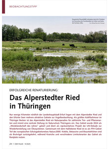 Auf diesem Bild sehen Sie das Produktbild fr ERFOLGREICHE RENATURIERUNG DAS ALPERSTEDTER RIED IN THRINGEN