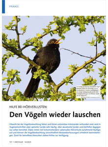 HILFE BEI HRVERLUSTEN DEN VGELN WIEDER LAUSCHEN