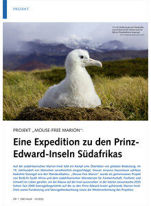 PROJEKT MOUSE-FREE MARION EINE EXPEDITION ZU DEN PRINZ-EDWARD INSELN SDAFRIKAS