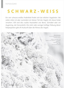 FOTOGALERIE SCHWARZ-WEISS