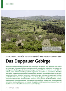 STRAUCHWILDNIS FR SPERBERGRAS MCKEN IM HERZEN EUROPAS DAS DUPPAUER GEBIRGE