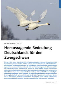 Auf diesem Bild sehen Sie das Produktbild fr MONITORING ZEIGT HERAUSRAGENDE BEDEUTUNG DEUTSCHLANDS FR DEN ZWERGSCHWAN