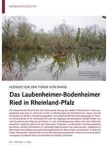 Auf diesem Bild sehen Sie das Produktbild fr KLEINOD VOR DEN TOREN VON MAIN Z DAS LAUBENHEIMER-BODENHEIMER RIED IN RHEINLAND-PFALZ